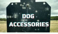 Dog Accessories