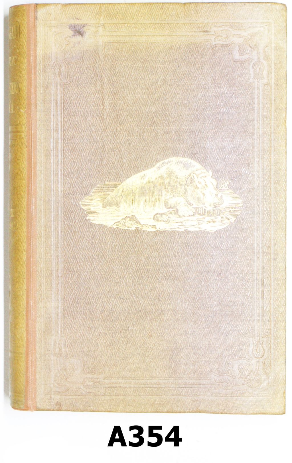 079A - A354 - "Lake Ngami" By Charles John Andersson