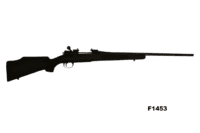 .300 WM CZ Rifle