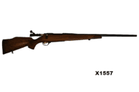 .300Win Mag Golden Eagle