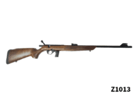 .22LR Rossi Rifle