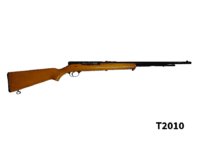 .22LR Stevens Rifle