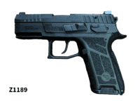 9mmP CZ P-09