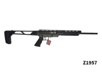 .22LR KR22 Kral Arms Rifle