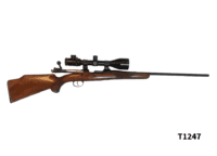 .243Win Musgrave Rifle