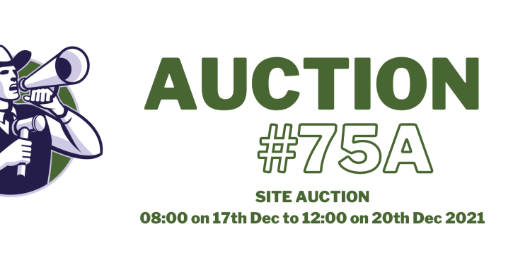 Site Auction 75A