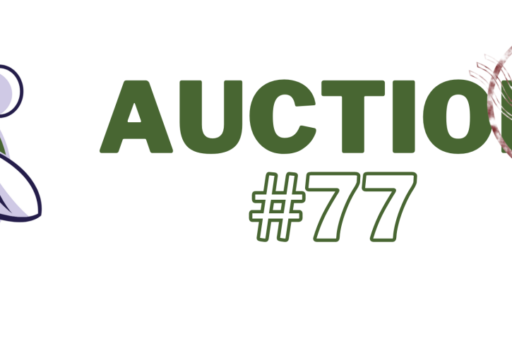 Premier Auction #77