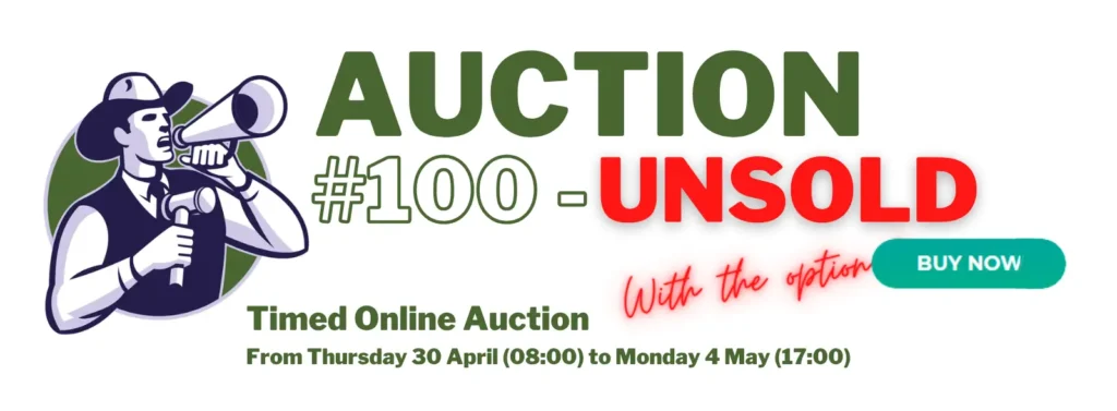 Classic Arms Premier Auction #100