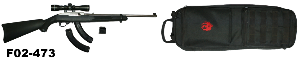 F02-473    .22lr Ruger 10/22 Stainless Take-Down Fifty Year Anniversary Model Rifle