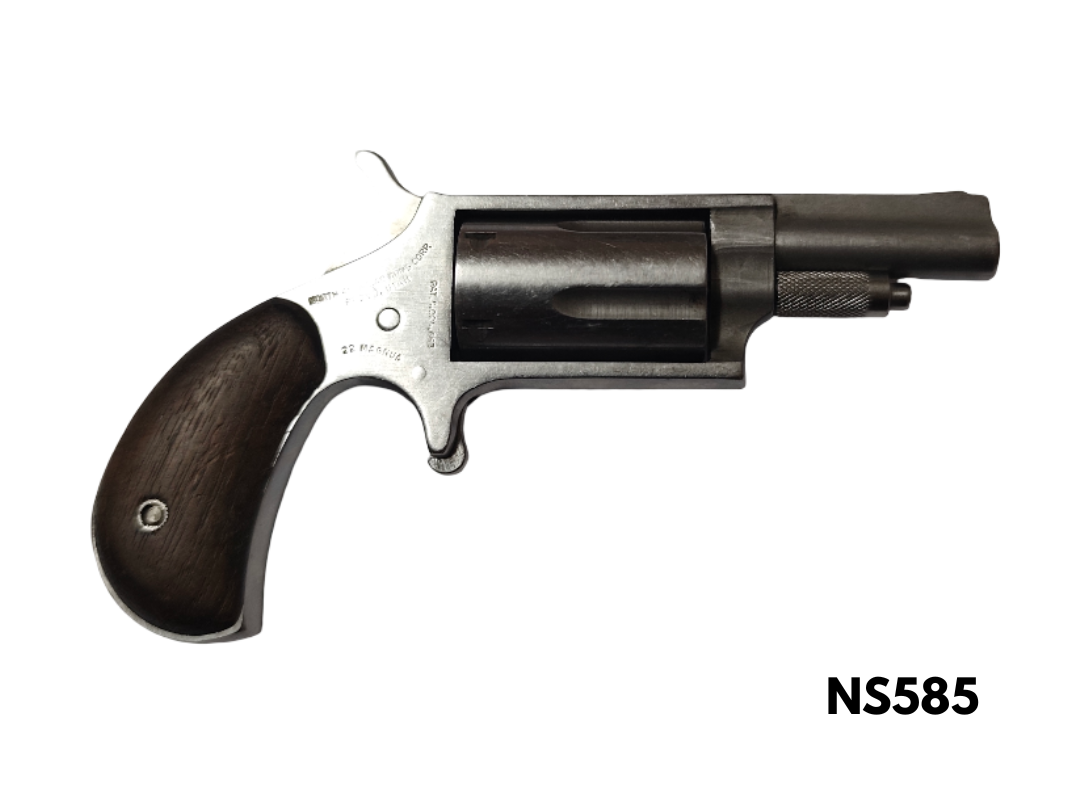 .22wmr NAA revolver