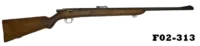 101-F02-313  .22lr Walther Dual-Action Rifle